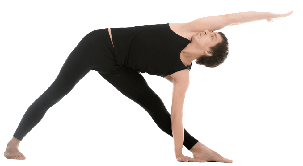 demo-attachment-1259-yogs-12-46145